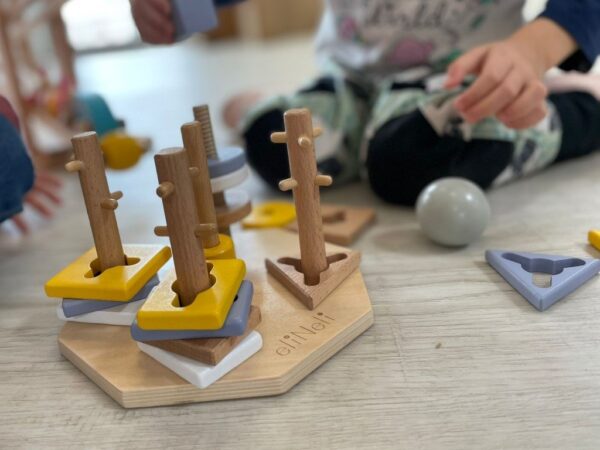 Eli Neli Montessori Plug-In-Shapes Εκπαιδευτικό Παζλ Σχημάτων - Image 6